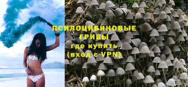 дживик Алексин