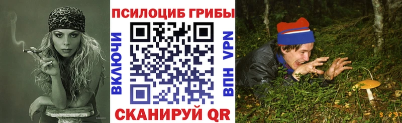 Галлюциногенные грибы прущие грибы  кракен сайт  Шахунья 